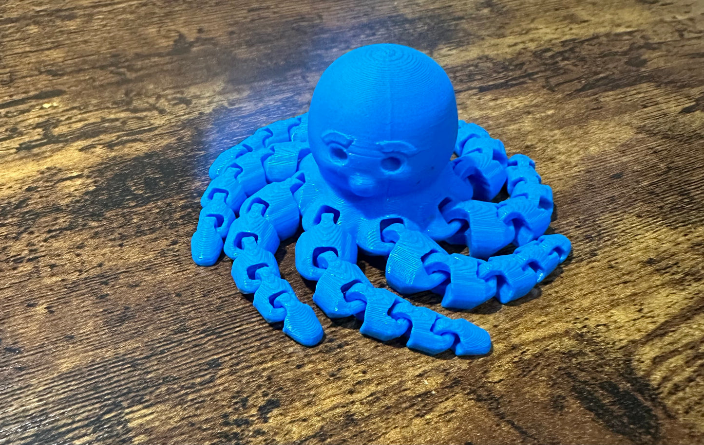 Octopus Fidget Toy